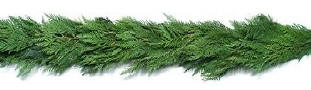 Cedar Garland