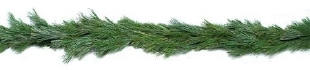 White Pine Garland